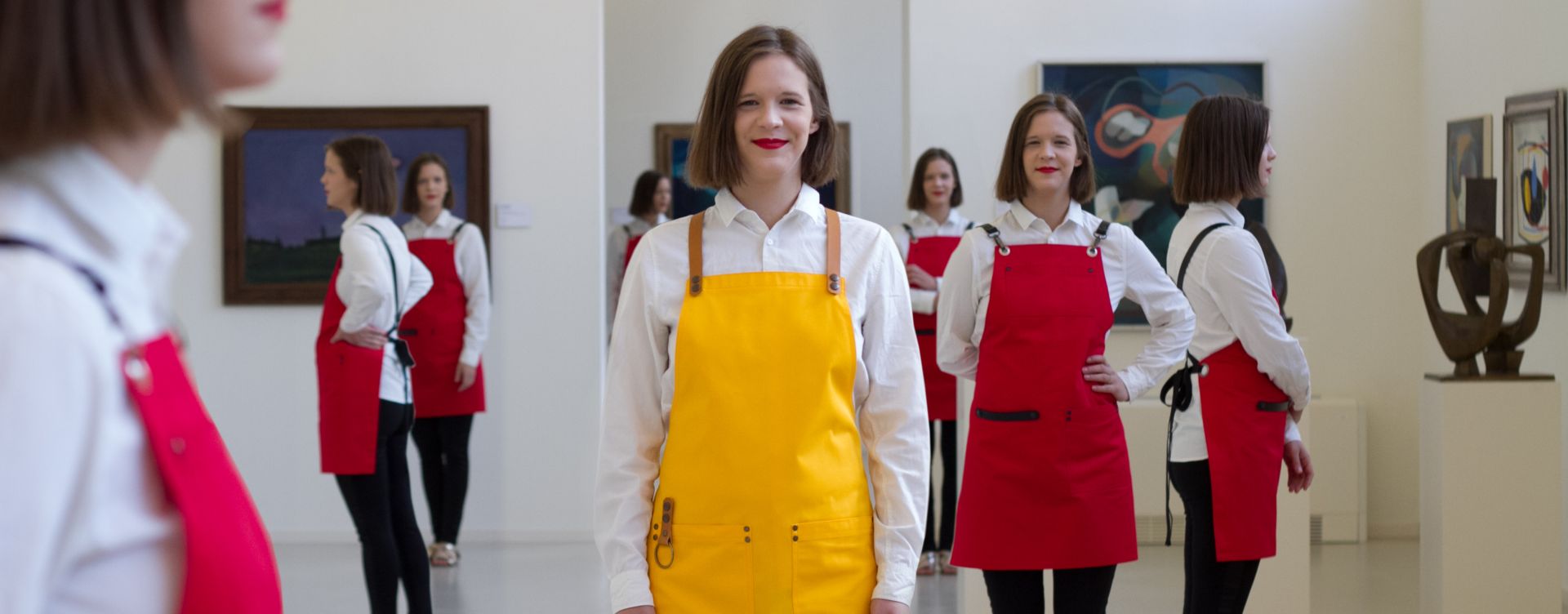 APRONS FOR EACH PROFESSION